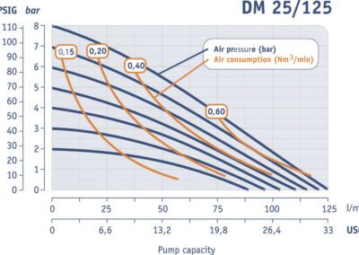 Работна характеристика Dellmeco DM 25/125